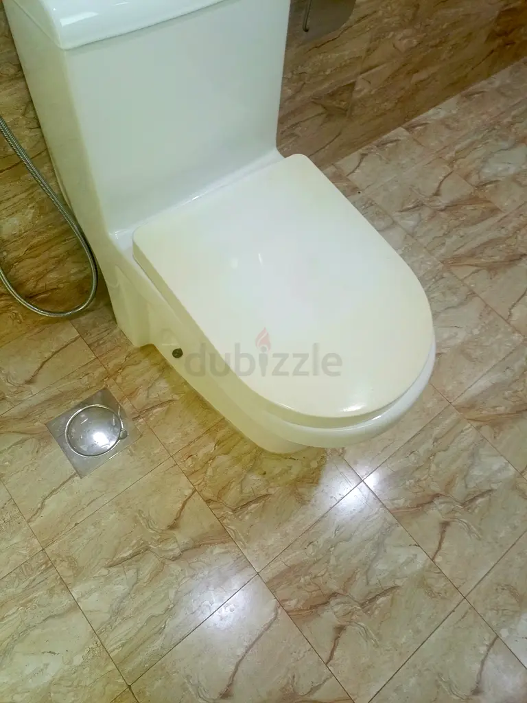 DPV_View_Image_0