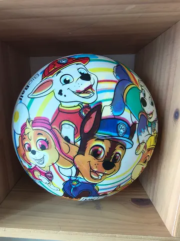 Paw patrol ball