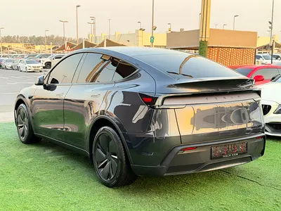 2026 Tesla MODEL Y 照片 5