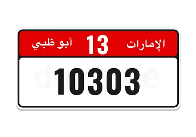 Special number 13