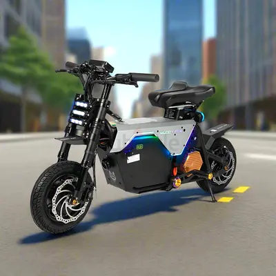 Muddy fox Fiido Eco 60v 31.5 ah electric bike