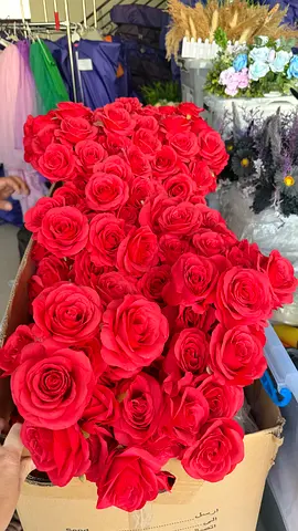 Wholesale artificial flowers Large Bundle of Artificial Greenery / Faux Plants - Good Condition