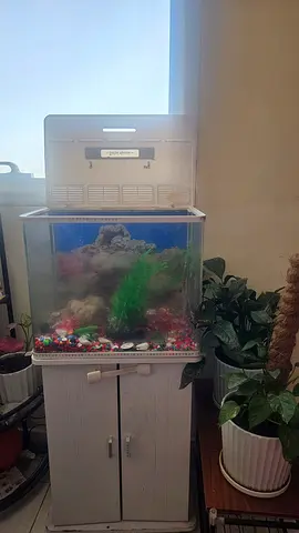 Aquarium tank with light, heater and cabinet - 300 AED