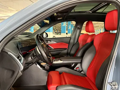 2024 BMW IX1 photo 14