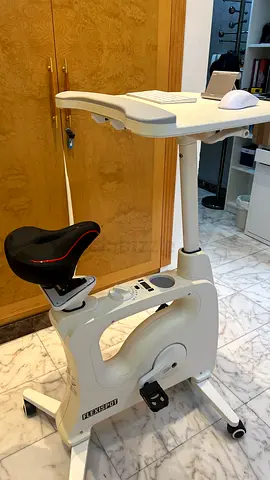 Flexispot Desk Bike