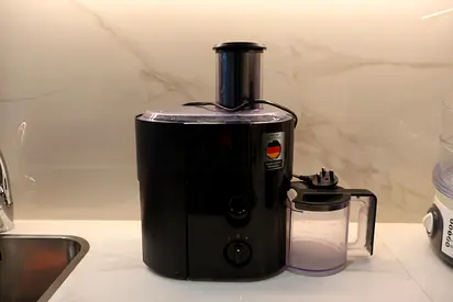 Black Fruit Juicer Machine with Collection Pitcher