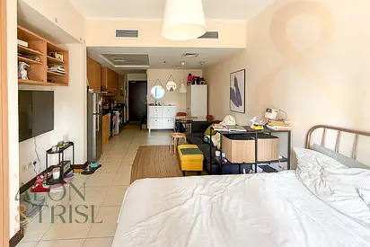 Studio Apt I Well Maintained I Partial Lake View