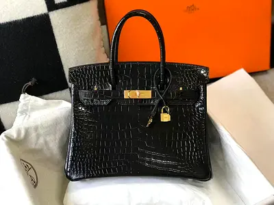 Hermes Crocodile