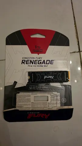Kingston Fury Renegade 1TB