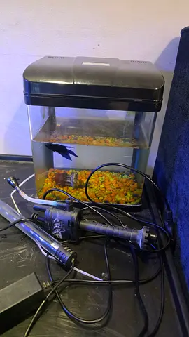 Small home aquarium tank with lid, filter and accessories