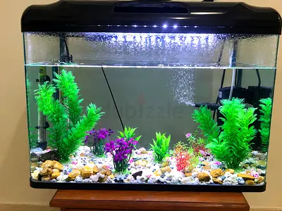 Complete Medium Aquarium Tank with LED Hood, Filter and Decorations