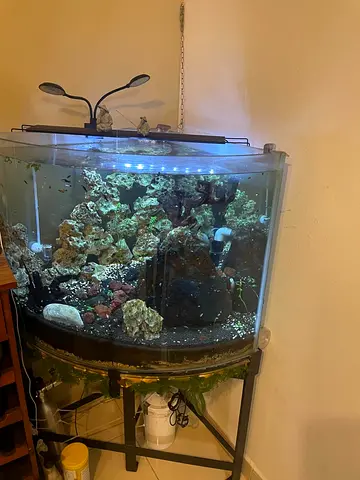 Curved Corner Aquarium Tank with Stand,