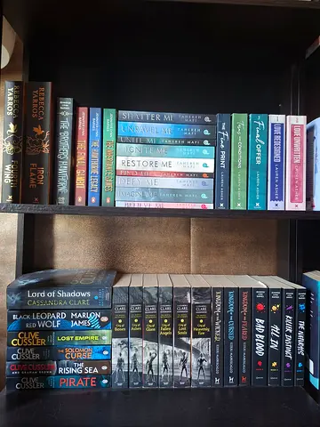 Mixed Young Adult and Fantasy Novel Collection - Series Copies (30-50 AED per book of your choosing)