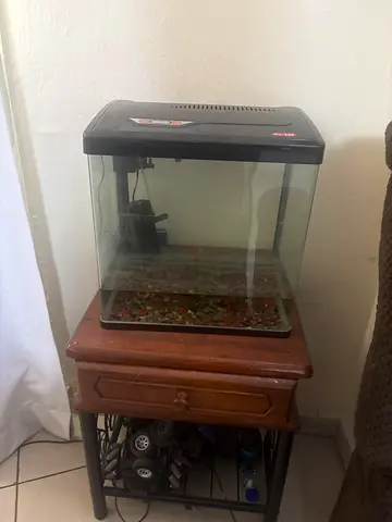 Used Glass Aquarium Tank with Filter Hood and Wooden Stand