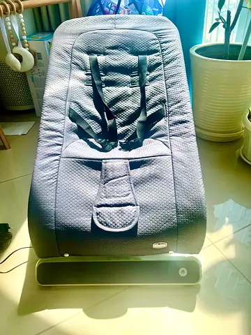 Chicco Bouncer Chair