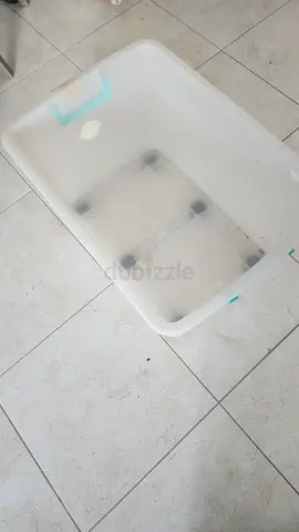 Transparent Plastic Storage Box with Lid (Large) - Good Condition