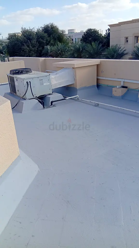 DPV_View_Image_2