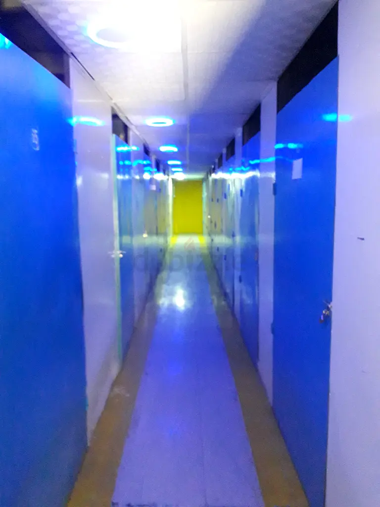 DPV_View_Image_2