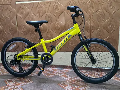 Kids bike giant xtc 20 inch
