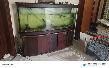 Big aquarium
