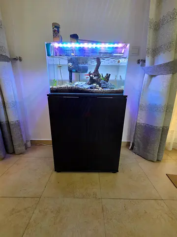 Complete fish aquarium with aquascaping setup for sale