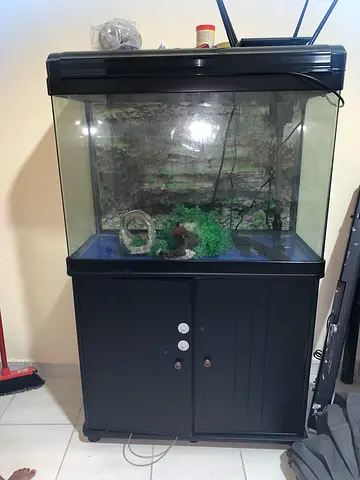 Large Glass Fish Aquarium with Black Cabinet Stand (Ready to Use)