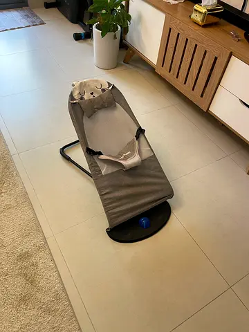 Grey Baby Bouncer Chair