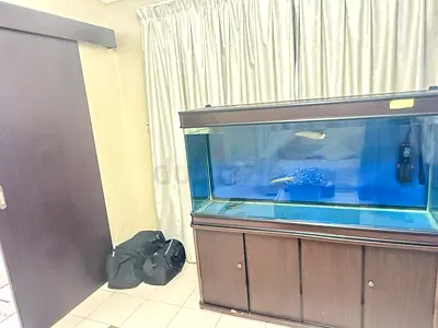 For Sale: Complete Large Aquarium Setup with Stand & Fish
 Note: There is damage on the bottom right