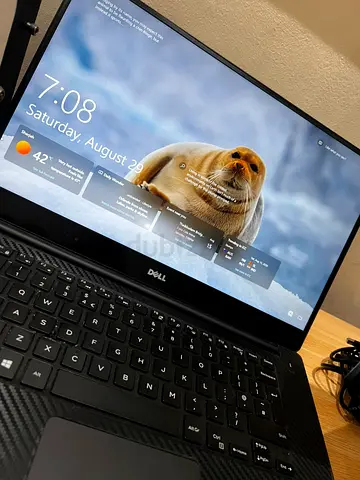 DELL laptop- 2GB graphic card- 16GB RAM- 14inch