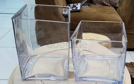 Money plant ​Square Glass  Cube Vase for 20 both
