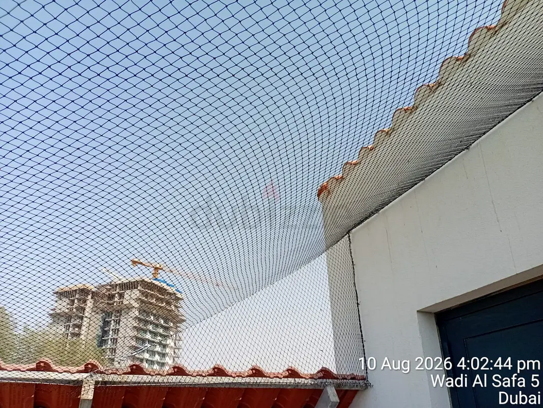 DPV_View_Image_4