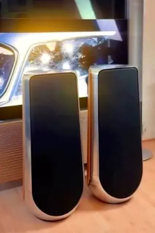 Beolab 50 - Silver & Oak speaker