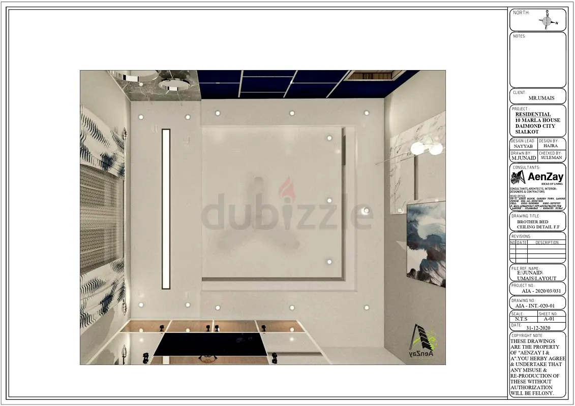 DPV_View_Image_8