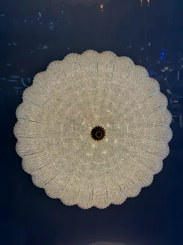Elegant Crystal Ceiling Light