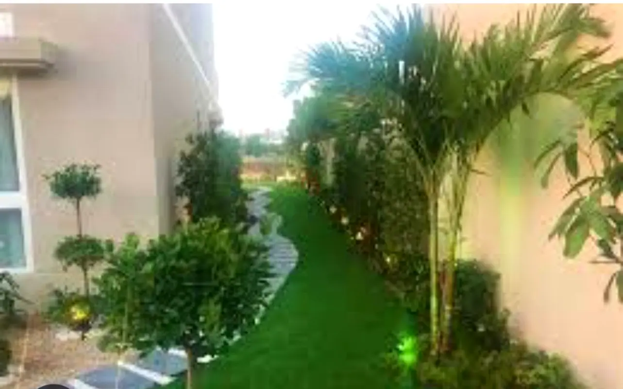 DPV_View_Image_0