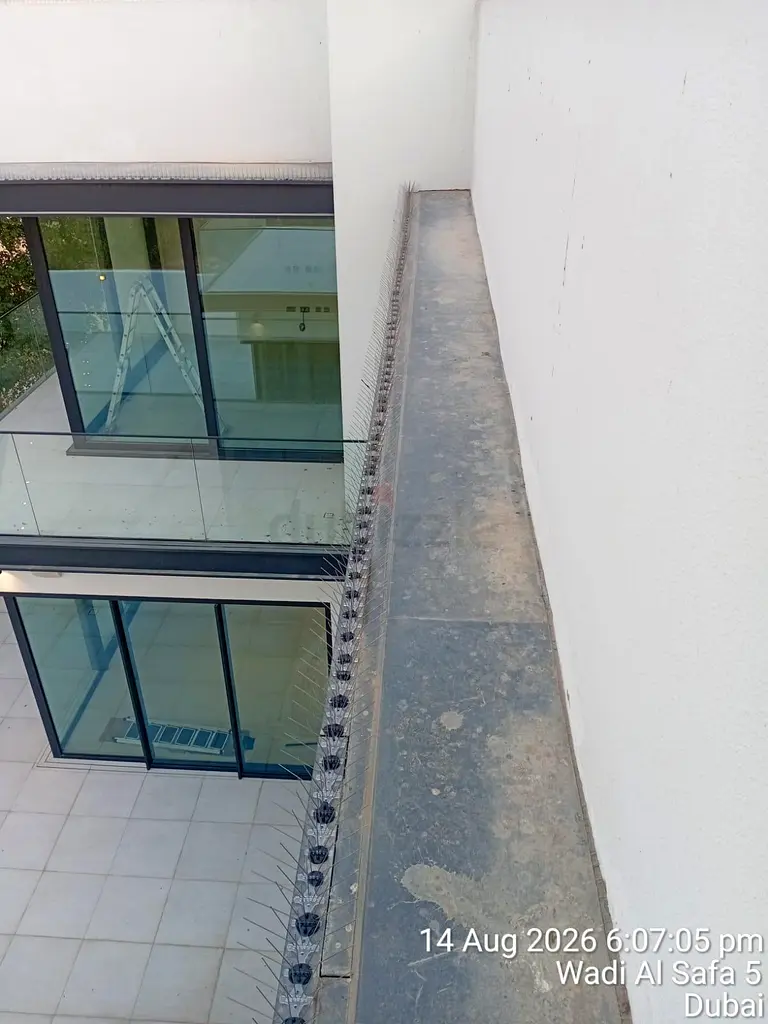 DPV_View_Image_0