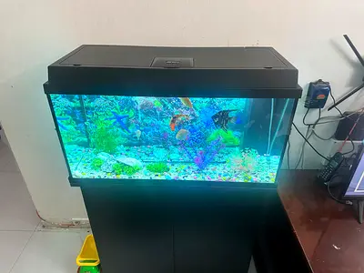 Juwel Aquarium fish tank black wooden cabinets