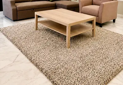 Beige Shaggy Living Room carpet- Large, Good Condition
