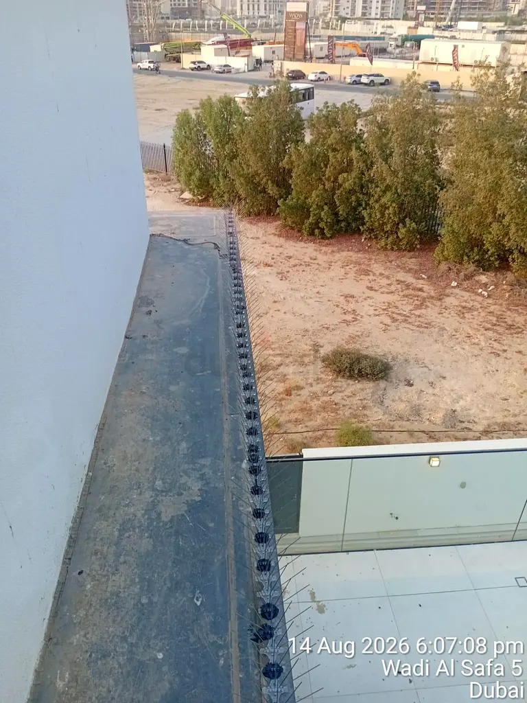 DPV_View_Image_1