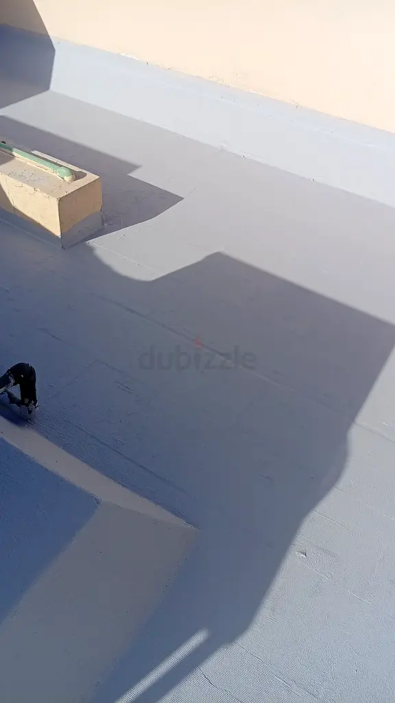 DPV_View_Image_1