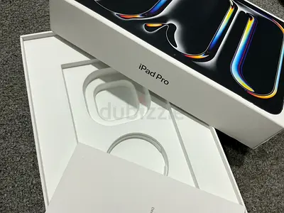 IPAD PRO M4 256 GRAY (TDRA )