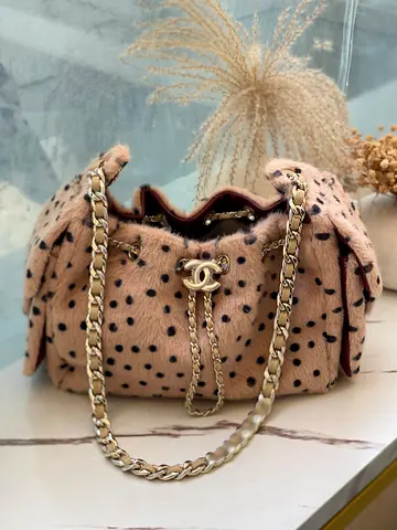 Chanel 25 Mini Cheeta Handbag