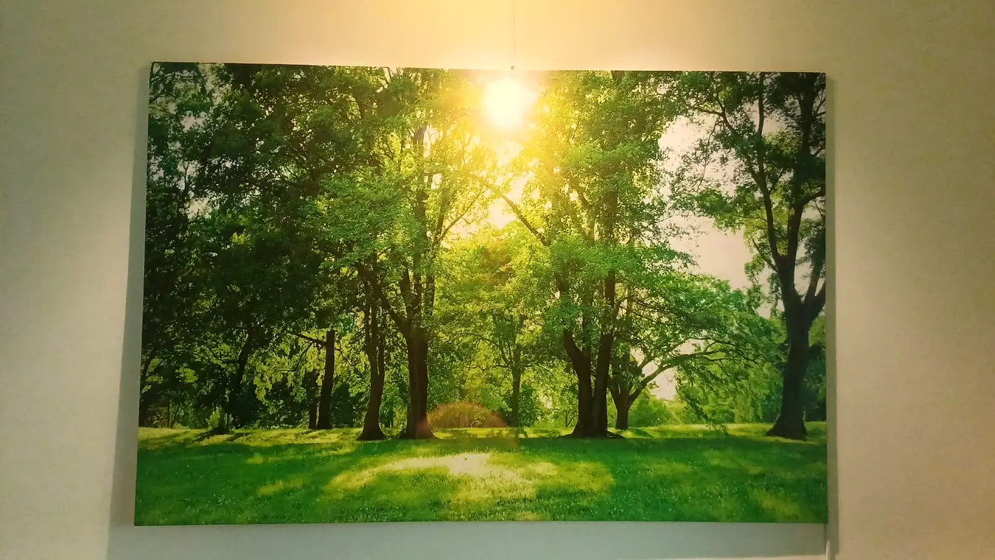 gallery-image