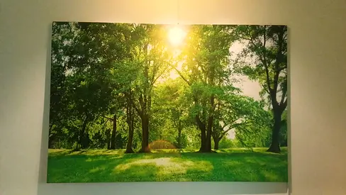 Full Size Wall Decor Frame