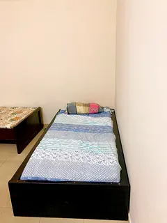 BED SPACE FOR EXECUTIVE BACHLOR (KERALA ONLY)