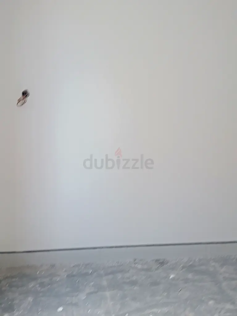 DPV_View_Image_8
