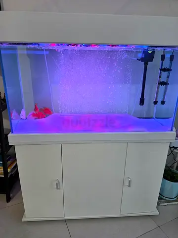 Large Glass Aquarium with Cabinet Stand and LED Lighting - Ready to Use