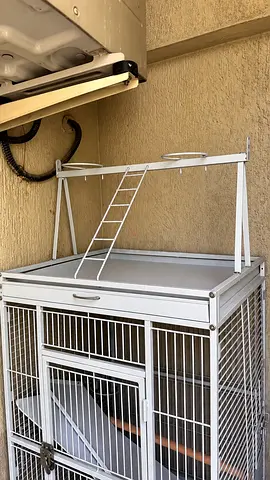 Big birds cage