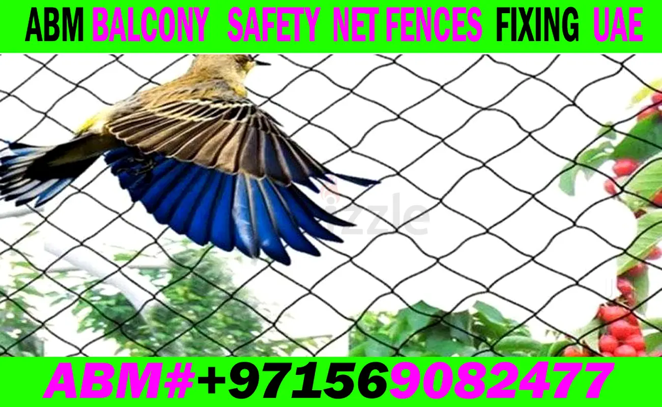 DPV_View_Image_9