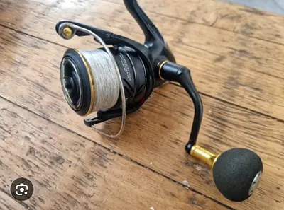 Shimano Reel (Sustain C500 XG)